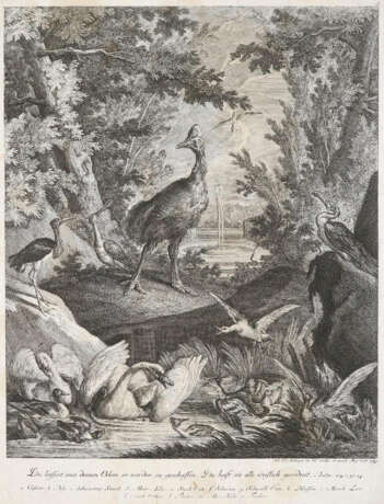 Konvolut - фото 3