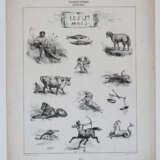 Konvolut - фото 16