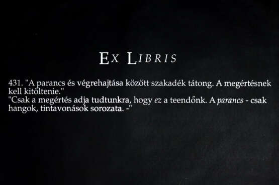 Kosuth, Joseph - photo 1