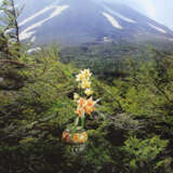 Martens, Louise Henriette von - фото 3