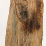 Zak, Tadeusz - Foto 2