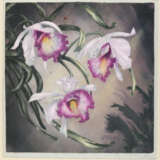 Noske, Hugo - photo 2