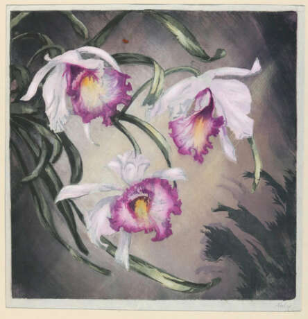 Noske, Hugo - photo 2