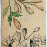 Pflanzen und Tiere. - photo 3