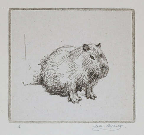 Repholtz, Albert Henrik - photo 9