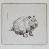 Repholtz, Albert Henrik - photo 9