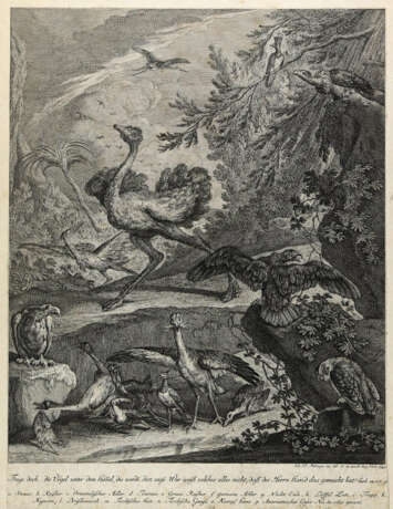 Ridinger, Johann Elias - фото 3 Ridinger, Johann Elias - фото 3