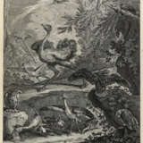 Ridinger, Johann Elias - фото 3