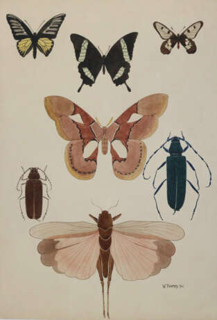 Rückgänge - photo 1