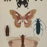 Rückgänge - photo 1