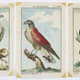 Rückgänge - photo 3