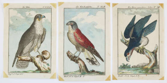 Rückgänge - photo 3