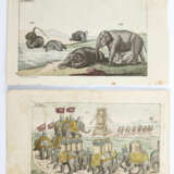 Rückgänge - photo 4