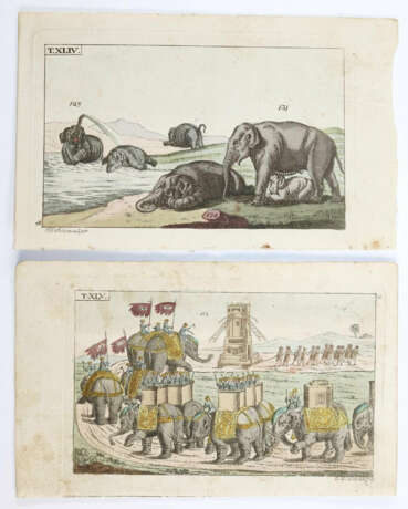 Rückgänge - photo 4