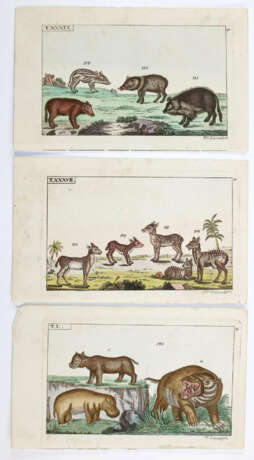 Rückgänge - photo 5