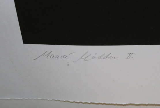 Schmeisser, Joachim - фото 2