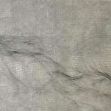 Szejstecki, Manfred "Many" - фото 1