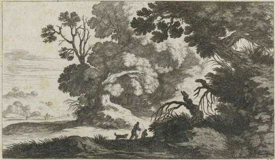 Tiere und Landschaften. - фото 1