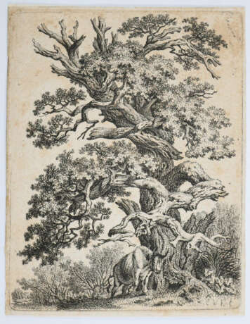 Tiere und Landschaften. - фото 5