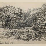 Tiere und Landschaften. - фото 8