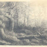 Tiere und Landschaften. - фото 9