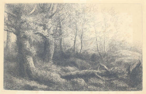 Tiere und Landschaften. - фото 9