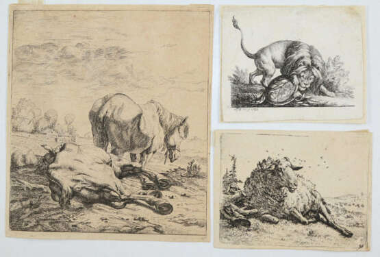 Tiere und Landschaften. - фото 14