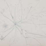 Tucholsky, Barbara Camilla - photo 1