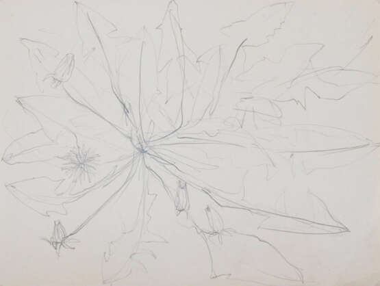 Tucholsky, Barbara Camilla - photo 1