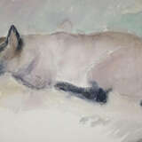 Vinnai, Eugen - photo 1