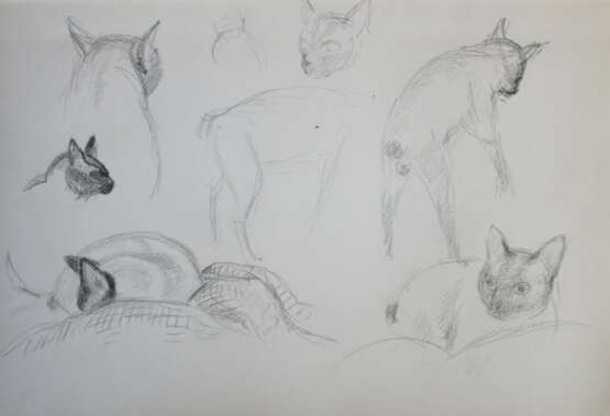 Vinnai, Eugen - photo 6