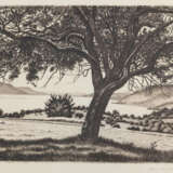 Volkmann, Hans Richard von - photo 4