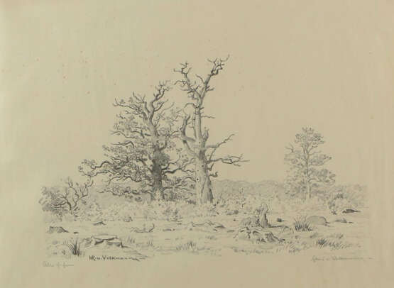 Volkmann, Hans Richard von - Foto 1