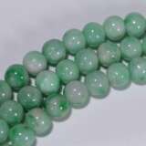 Ice species Emerald necklace 108 capsules - photo 3