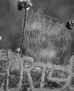 Übersicht. Sterling, Ruby