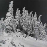 Wimmer, Hed - photo 1