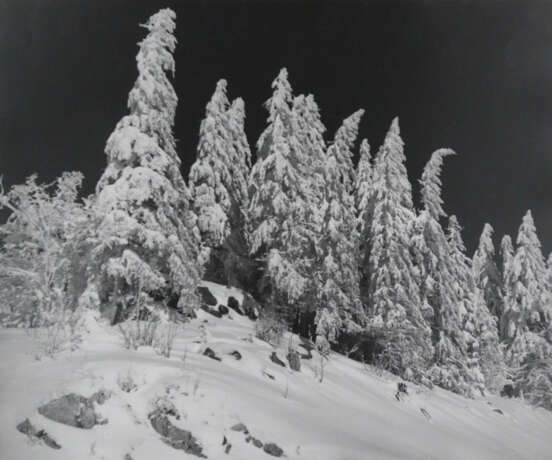 Wimmer, Hed - photo 1