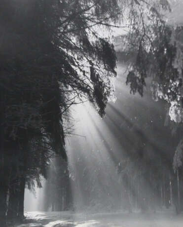 Wimmer, Hed - photo 2