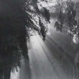 Wimmer, Hed - photo 2