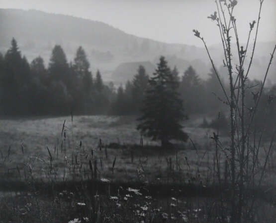 Wimmer, Hed - photo 3