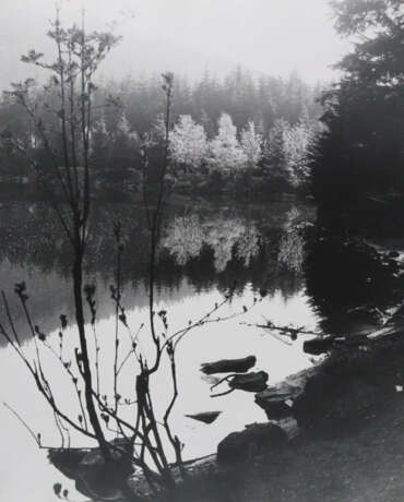 Wimmer, Hed - photo 5