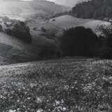 Wimmer, Hed - photo 7