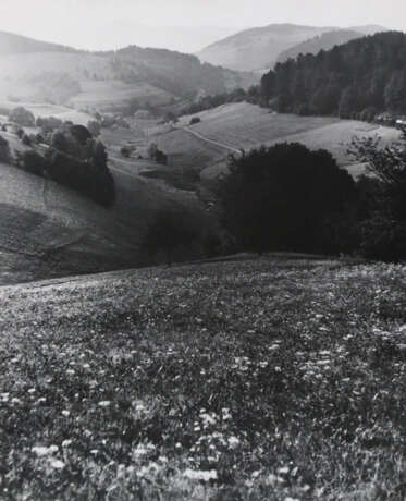 Wimmer, Hed - photo 7