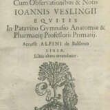 Alpini, P. - photo 1