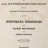 Schinz, H.R. - фото 1