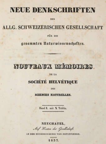 Schinz, H.R. - фото 1