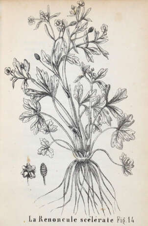 (Hegetschweiler, J.). - photo 3