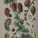 Thome, (O.W.) - photo 4