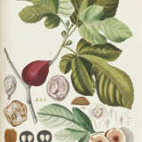 Trew, Ch.J. - photo 4