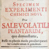 Wedel, G.W. - photo 1